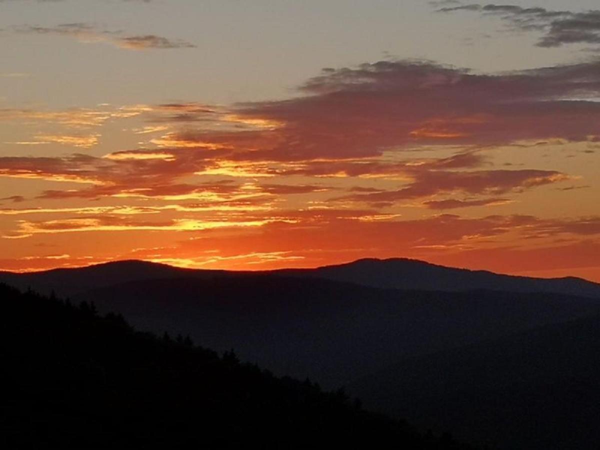 Ferienland Sonnenwald Fewo 46 Und Studio 50 In Schoefweg Bayerischer Wald Exterior foto