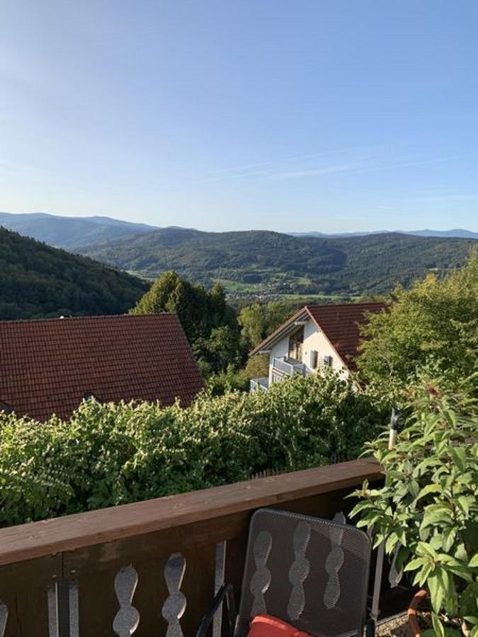 Ferienland Sonnenwald Fewo 46 Und Studio 50 In Schoefweg Bayerischer Wald Exterior foto