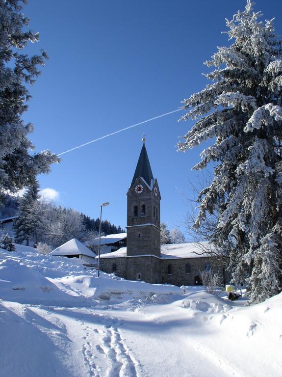 Ferienland Sonnenwald Fewo 46 Und Studio 50 In Schoefweg Bayerischer Wald Exterior foto
