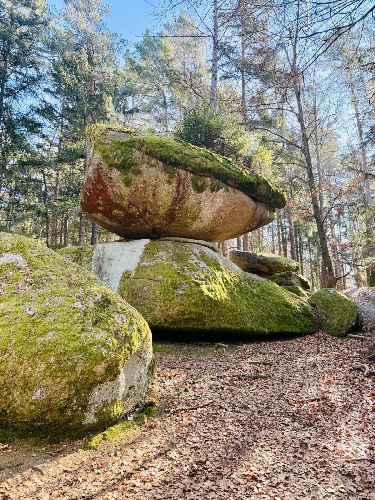 Ferienland Sonnenwald Fewo 46 Und Studio 50 In Schoefweg Bayerischer Wald Exterior foto