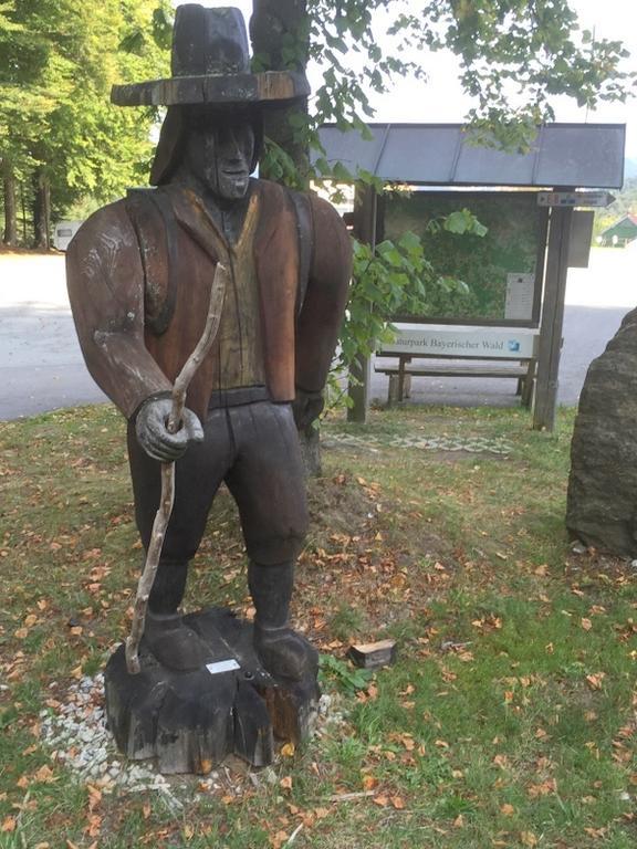 Ferienland Sonnenwald Fewo 46 Und Studio 50 In Schoefweg Bayerischer Wald Quarto foto