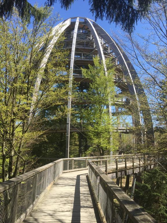 Ferienland Sonnenwald Fewo 46 Und Studio 50 In Schoefweg Bayerischer Wald Exterior foto